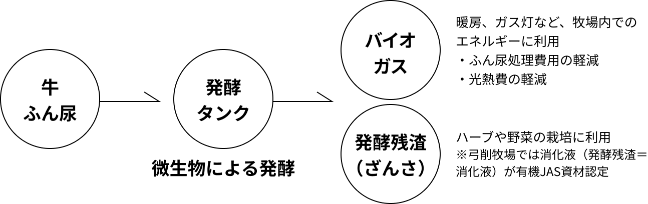 牛ふん尿→発酵タンク（微生物による発酵）→バイオガス（※1）・発酵残渣（※2）